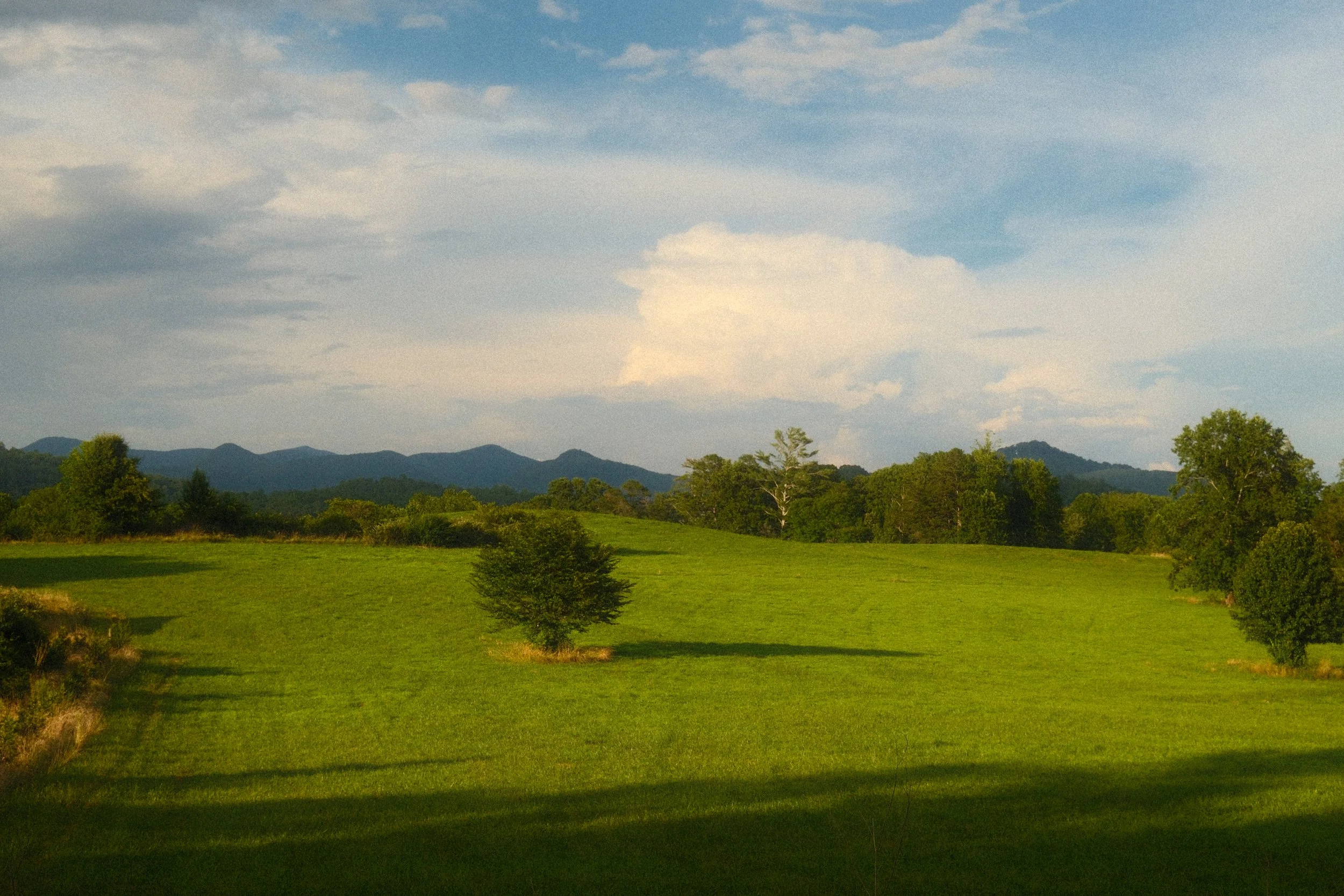 A lush green landscape with rolling hills and scattered trees, with mountains and a partly cloudy sky in the background.