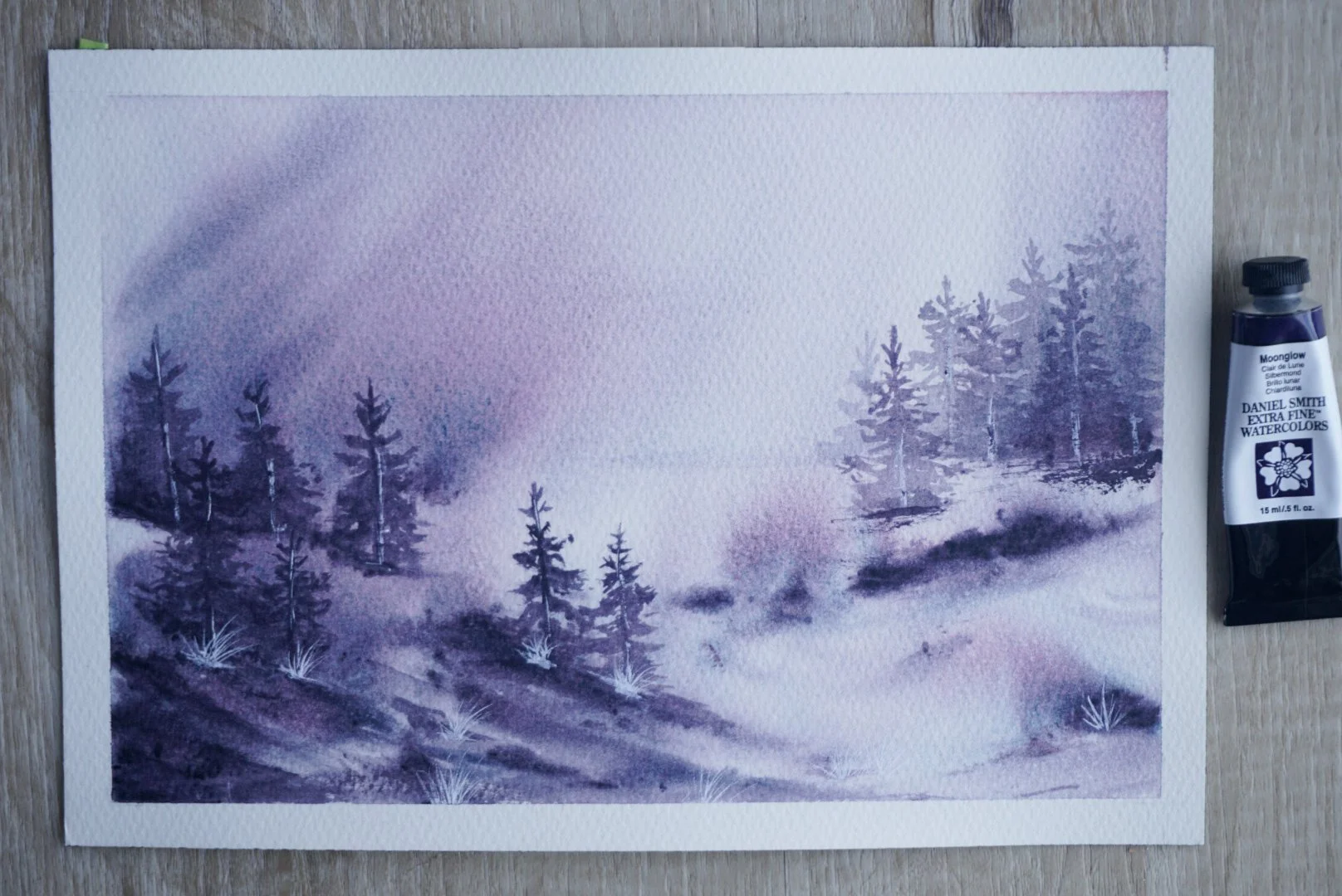 lightroom misty forest.jpg