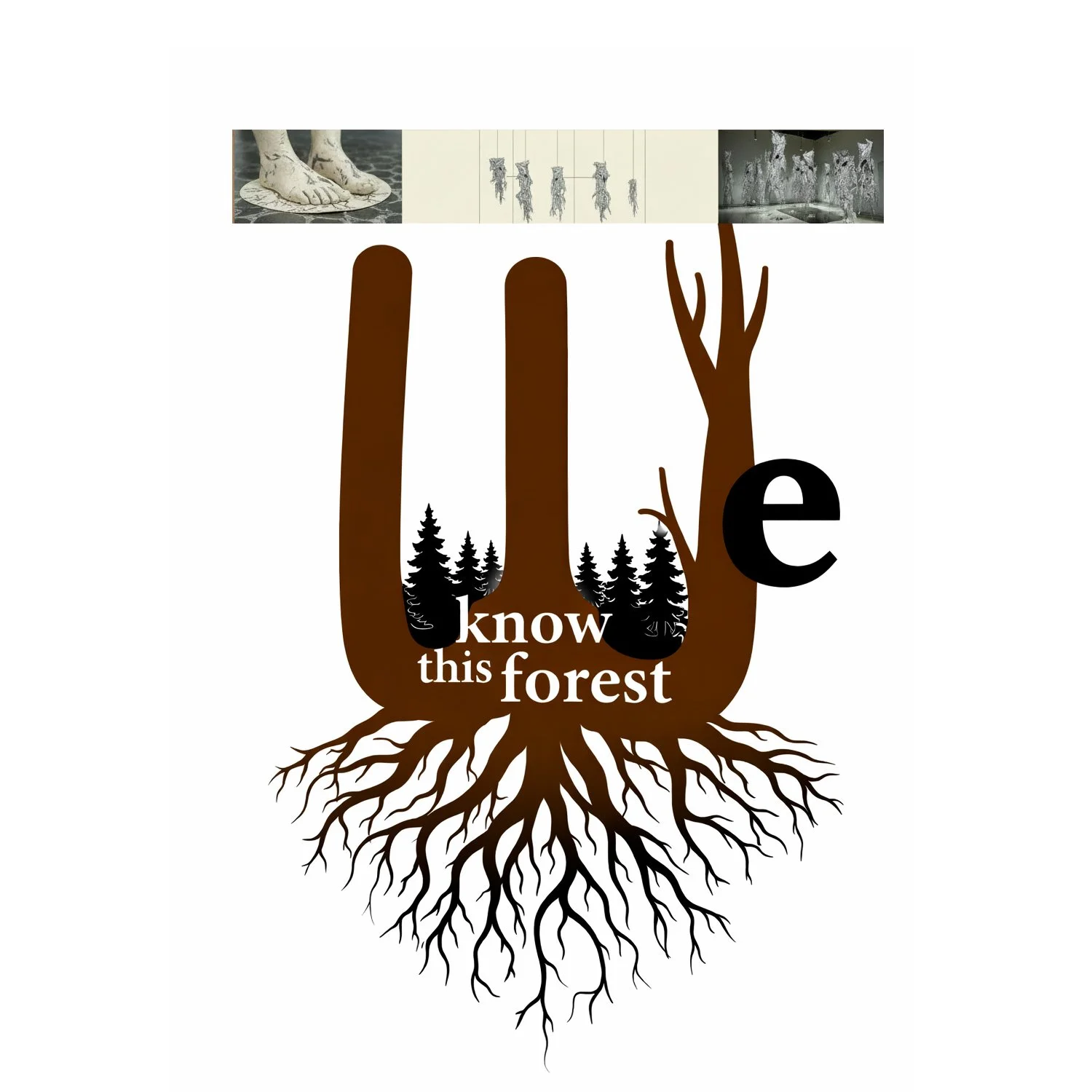 We Know This Forest Prospectus