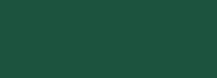 A green background with white text that says "EVERYDAY HUMAN."
