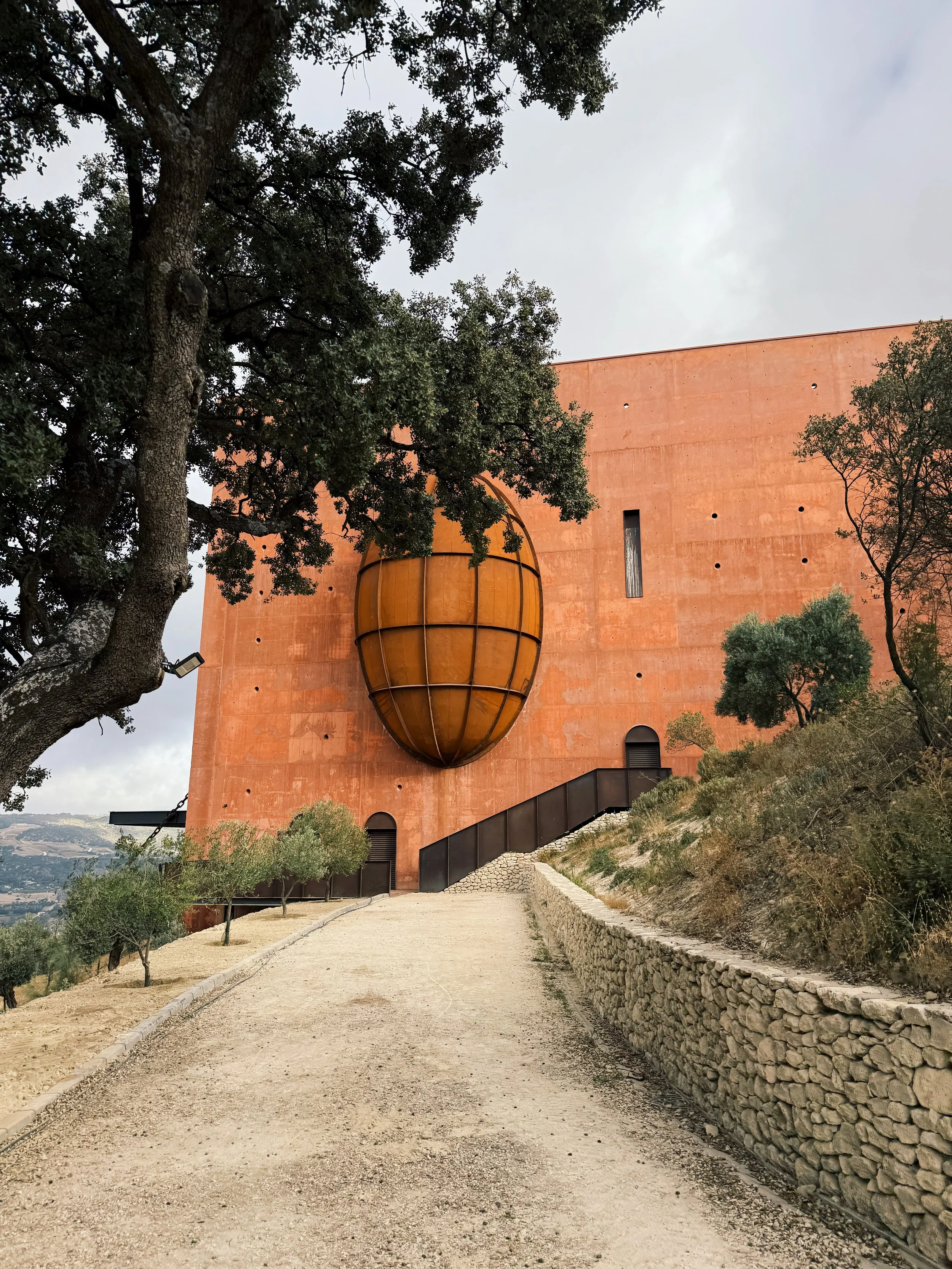 EVOO Tips &amp; Tasing From Spain