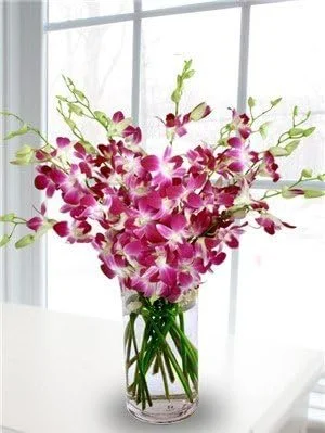 Premium Cut Purple Orchids