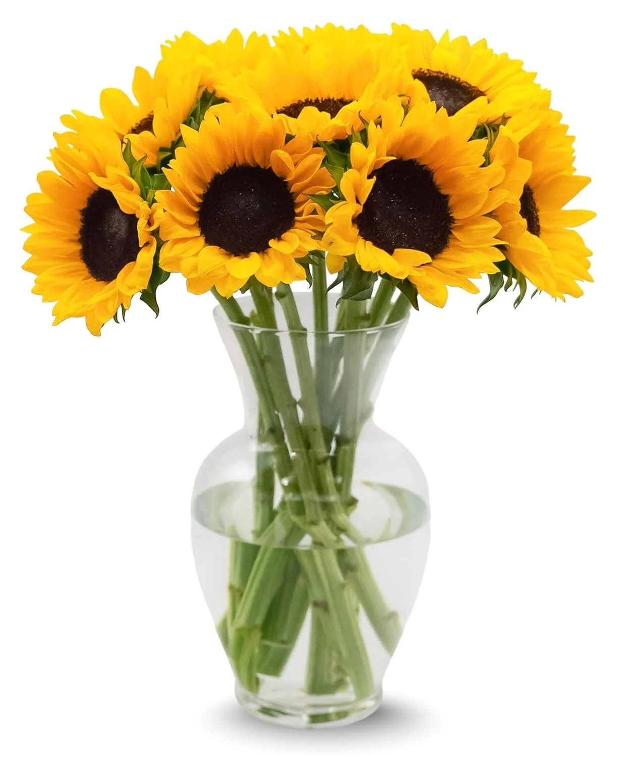 10 Stem Sunflower Bouquet