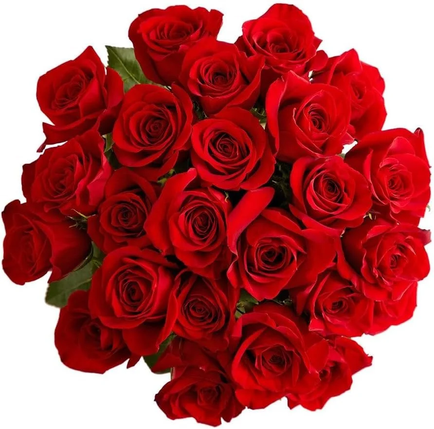 1800 Flowers – 24 Stem Red Roses