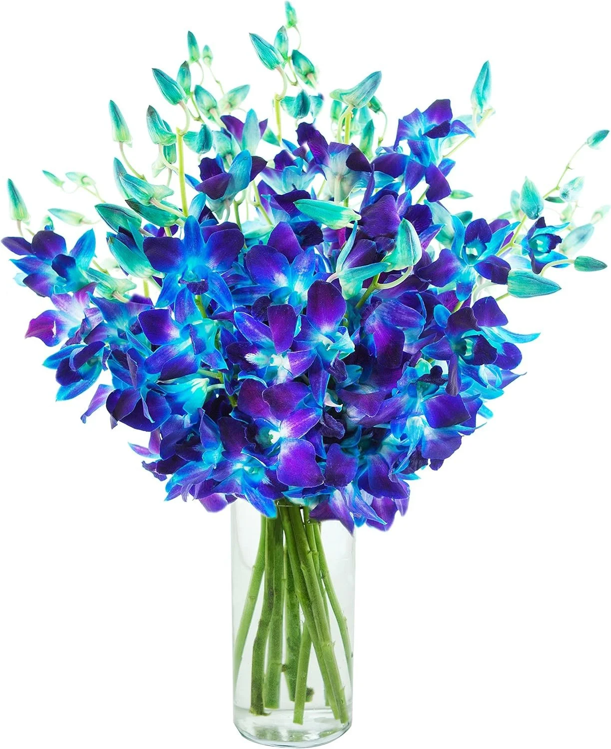 Exotic Sapphire Orchid Bouquet Of 20