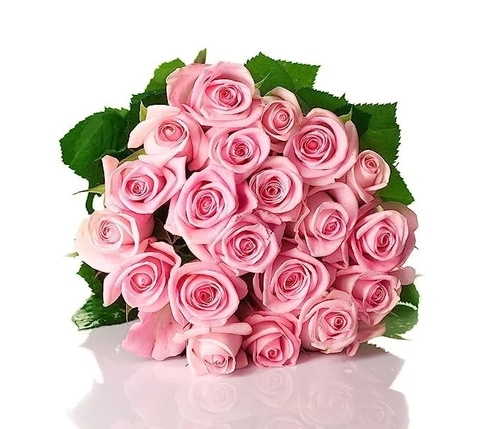 50 Pink Roses