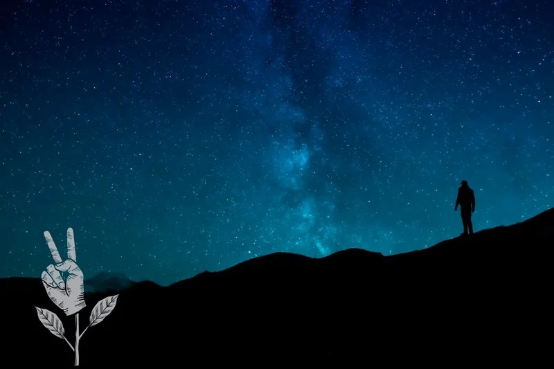 man looking up at the stars - apology flowers icon logo in the corner