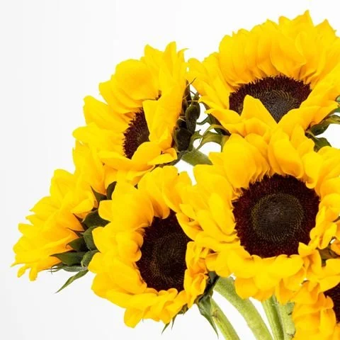 Sunflower Bouquet with Vase