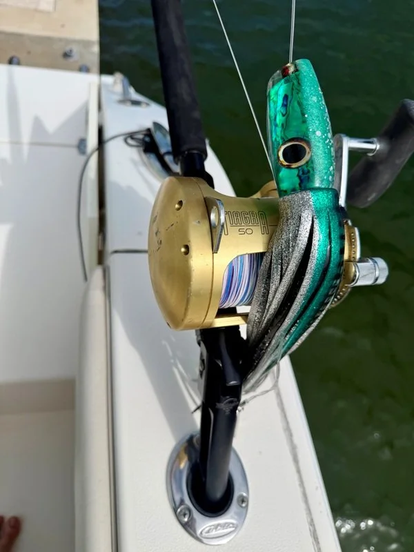Fishing Lure and reel.