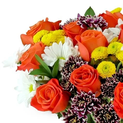 orange and yellow flowers