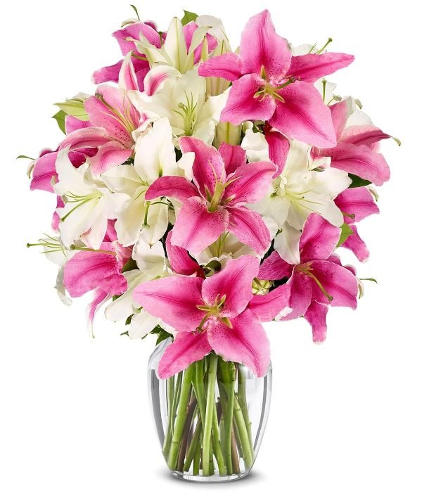 Lily Flowers in vase
