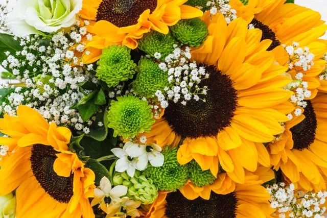 Bouquet_Of_Sunflowers