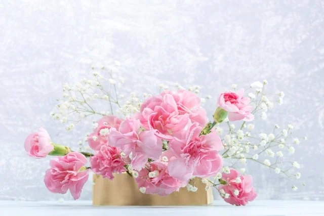 Pink_Carnations