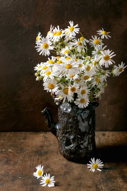 White_Daisies_Dark_Ceramic_Vase_Arrangement