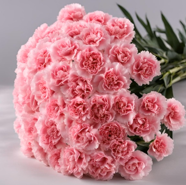 Pink Carnations