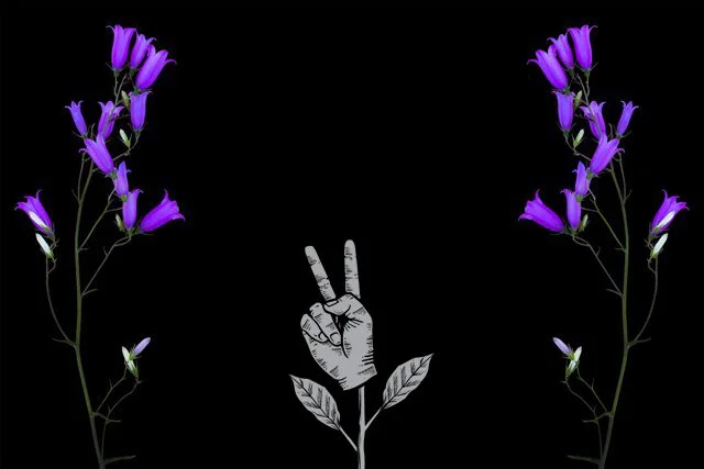 Black_Bluebells_Flowers