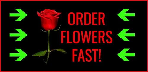 14 Flowers That Symbolize Regret (Because Sometimes 