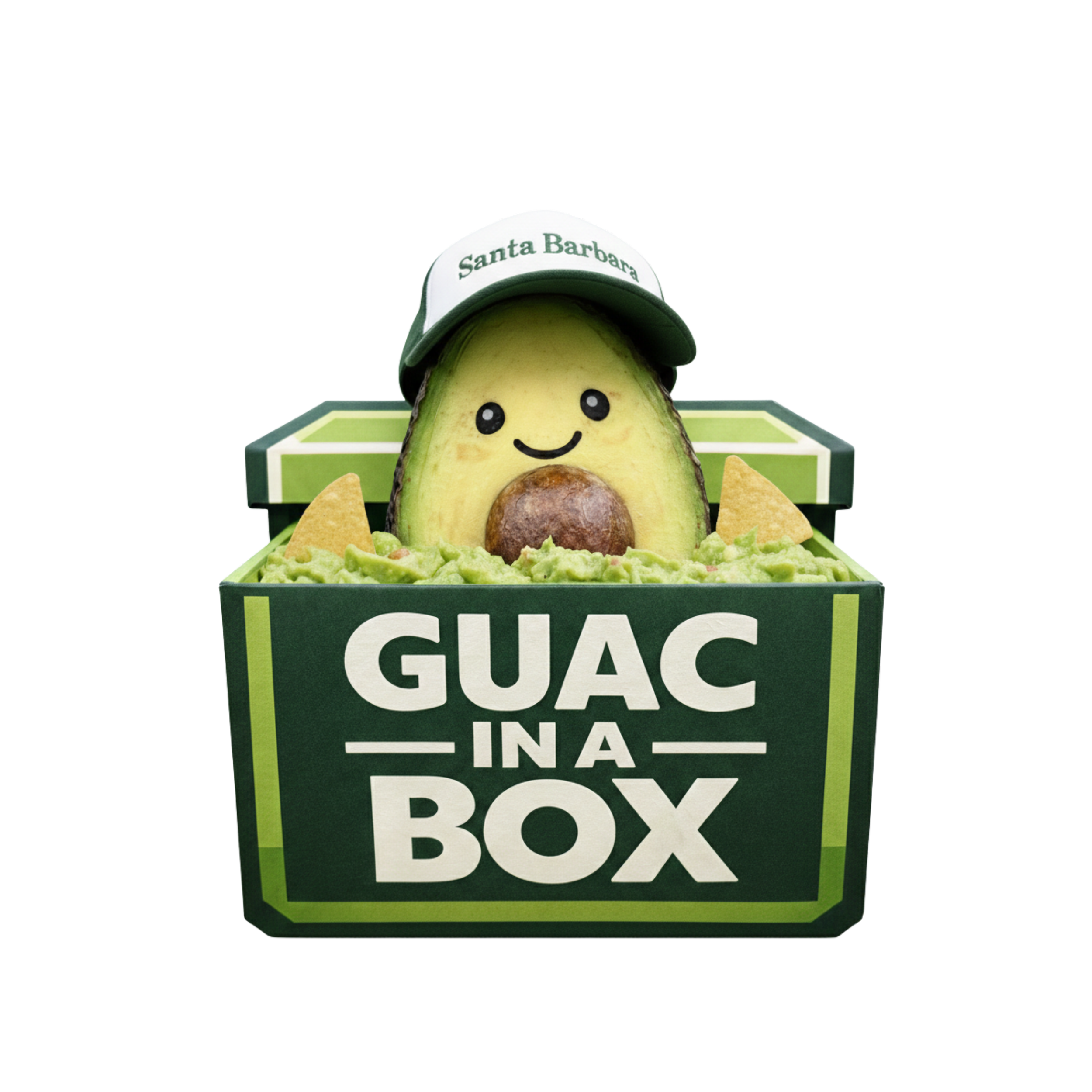 Classic Guac Box