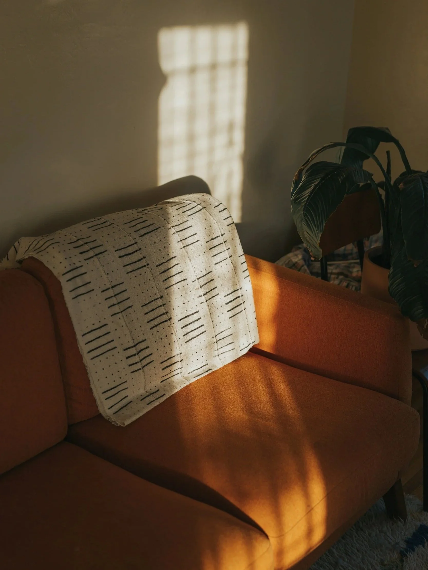 A therapy office  with a tan sofa topped with a white throw blanket with a black line pattern, a large leafy potted plant on a wooden side table, and sunlight streaming through a nearby window.