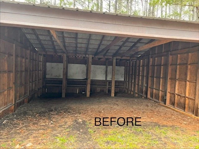 before madness shed .jpeg