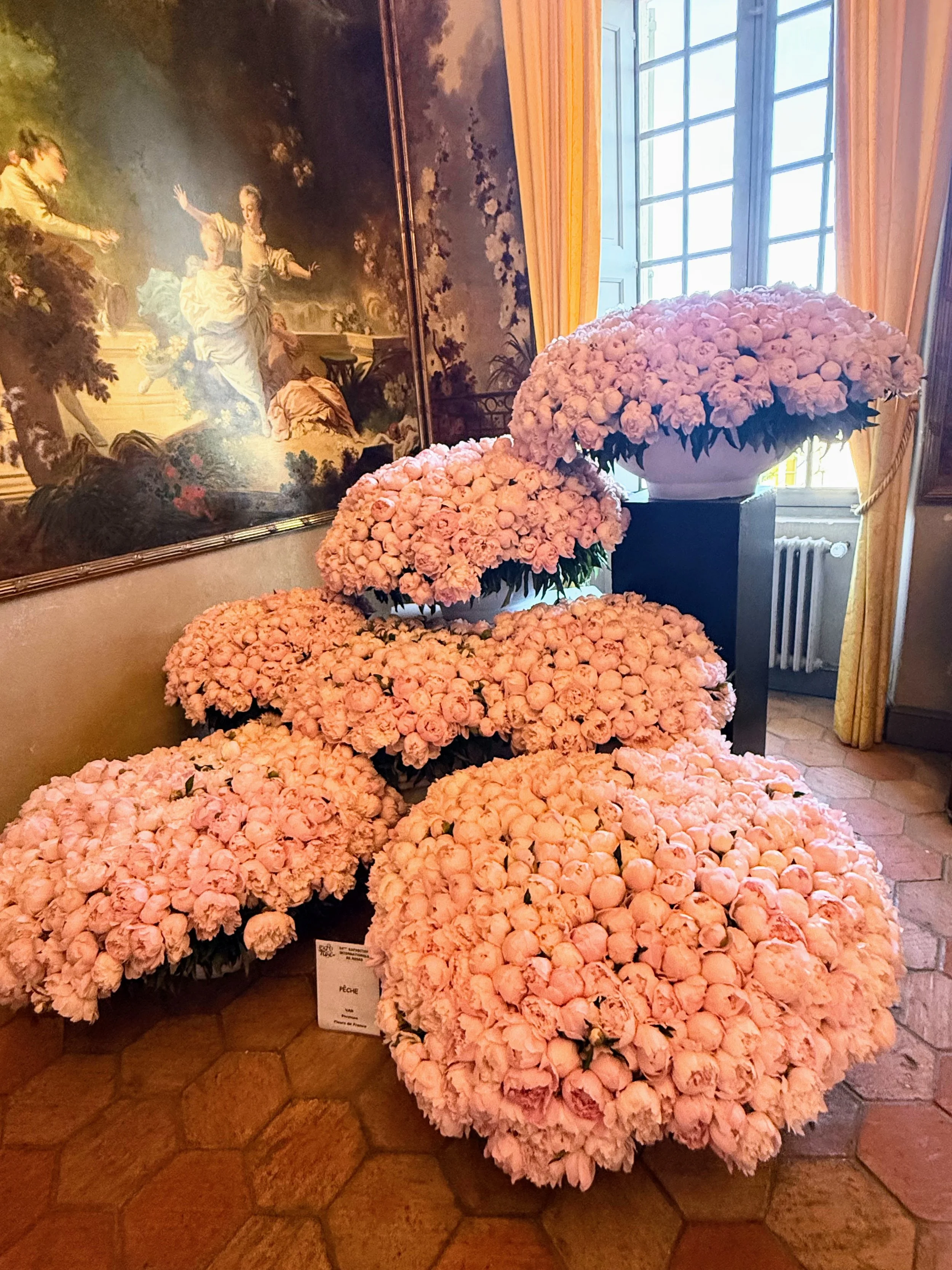 Rose Exhibit