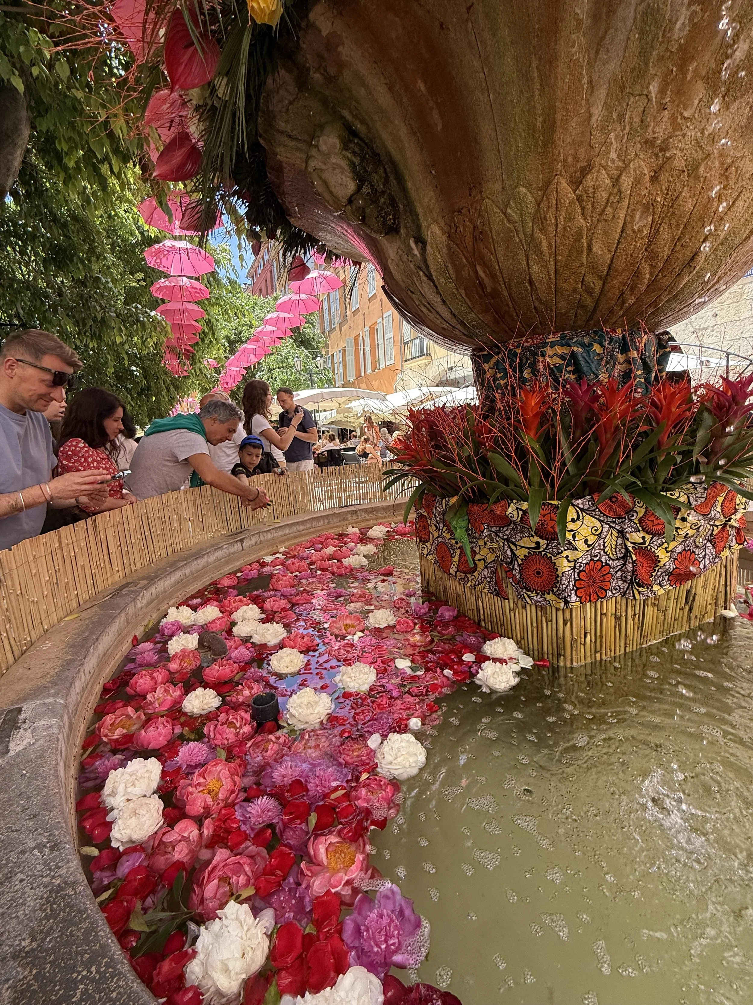 Roses in Grasse France