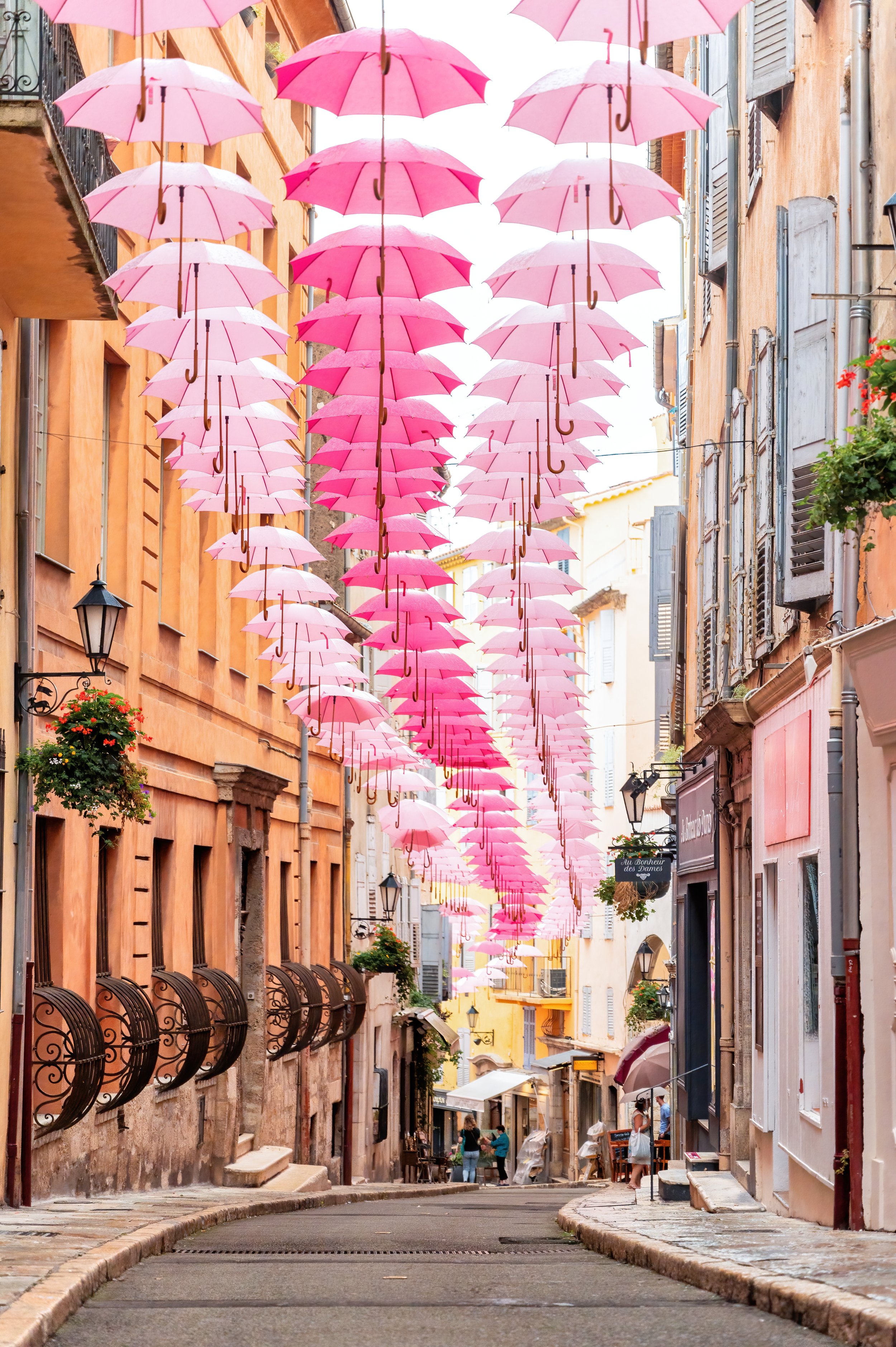 grasse pink umbrellas