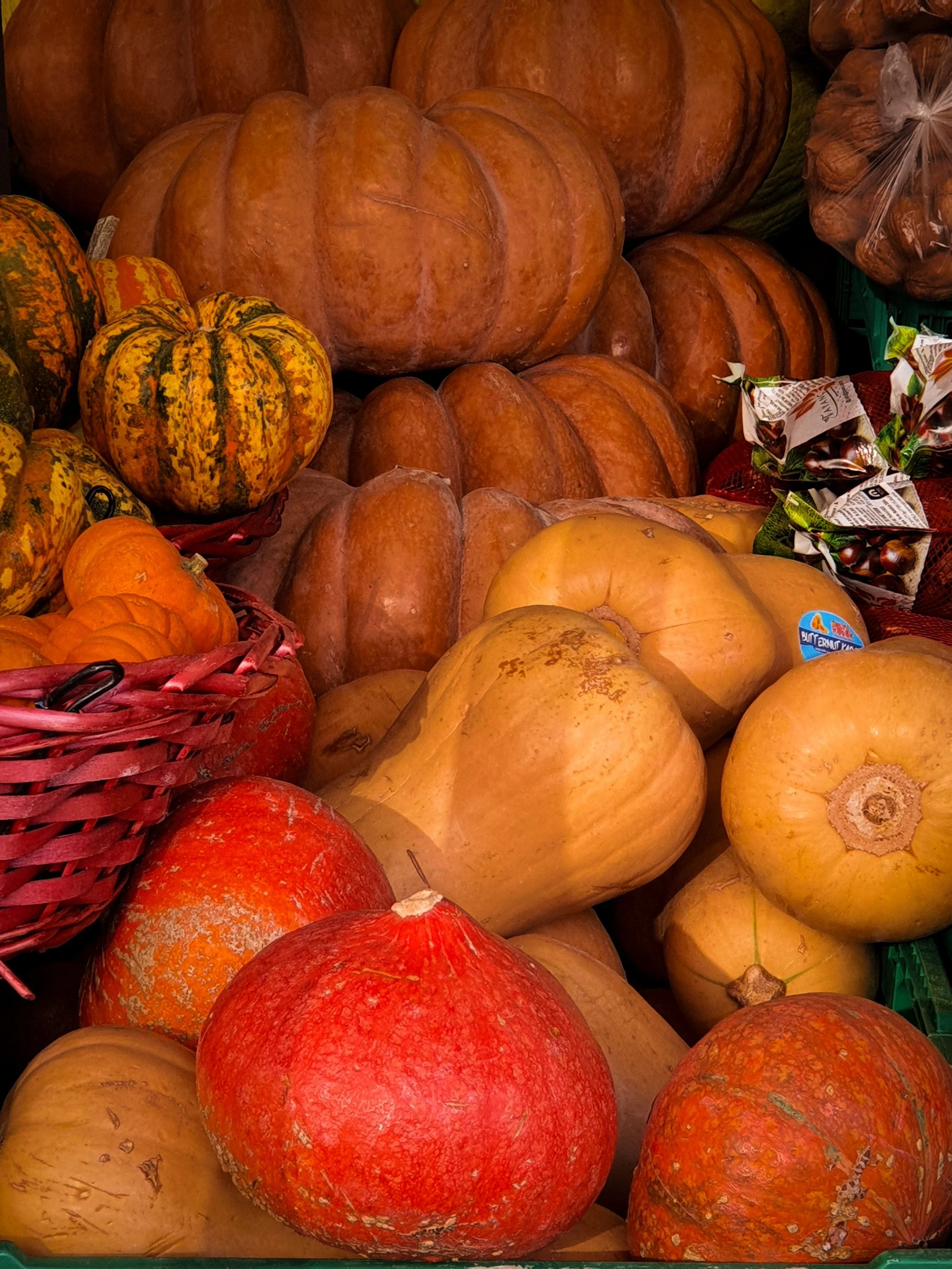 Various pumpkins and gourds in orange, yellow, and green colors, some in baskets and some stacked on each other.