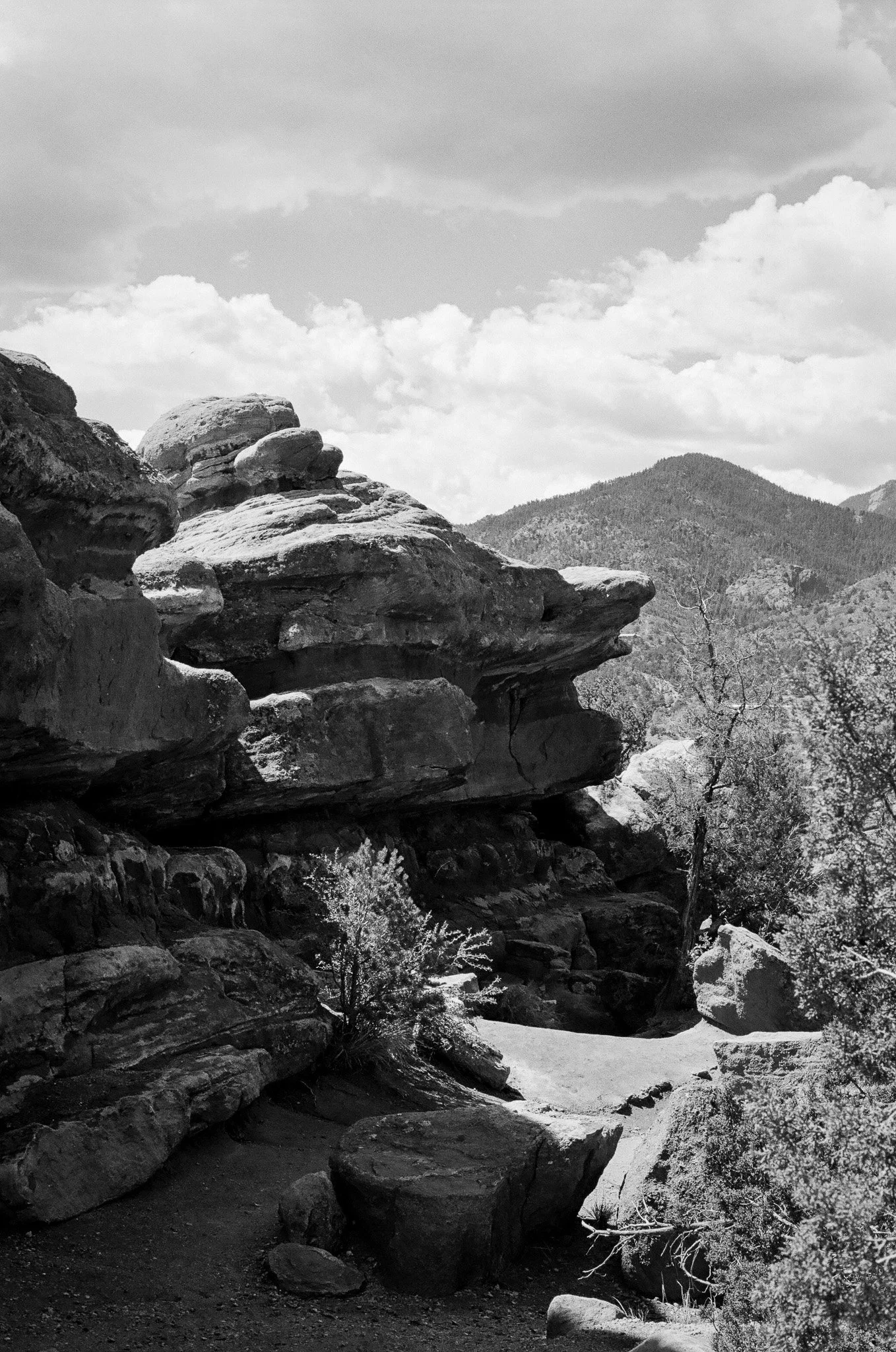 Garden of the Gods
CO