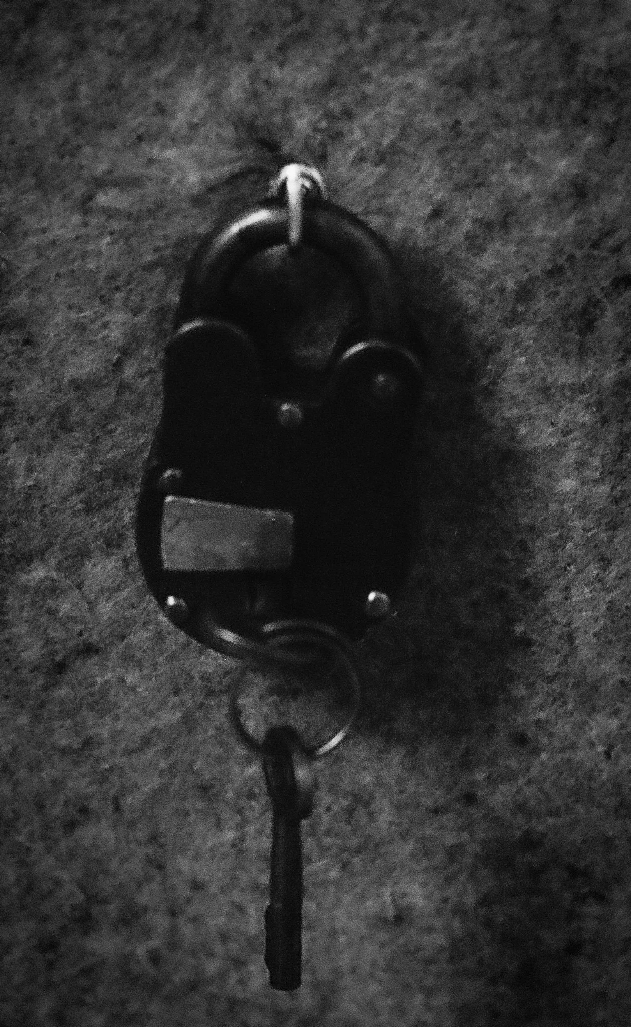 7. Close up of keys for rifle case.jpg