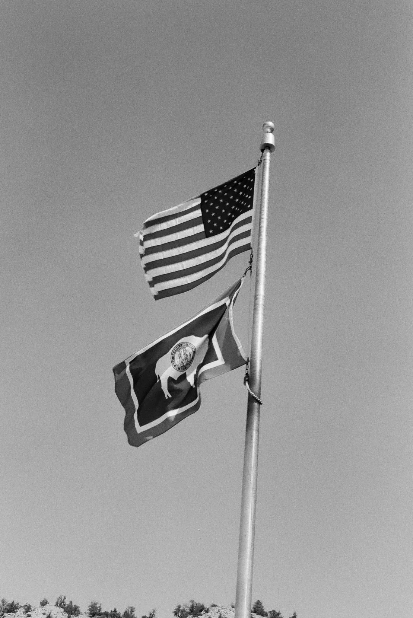 The Cowboy State