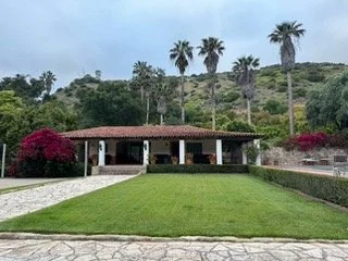 IMG_8846.jpeg