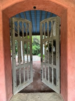 IMG_8867.jpeg