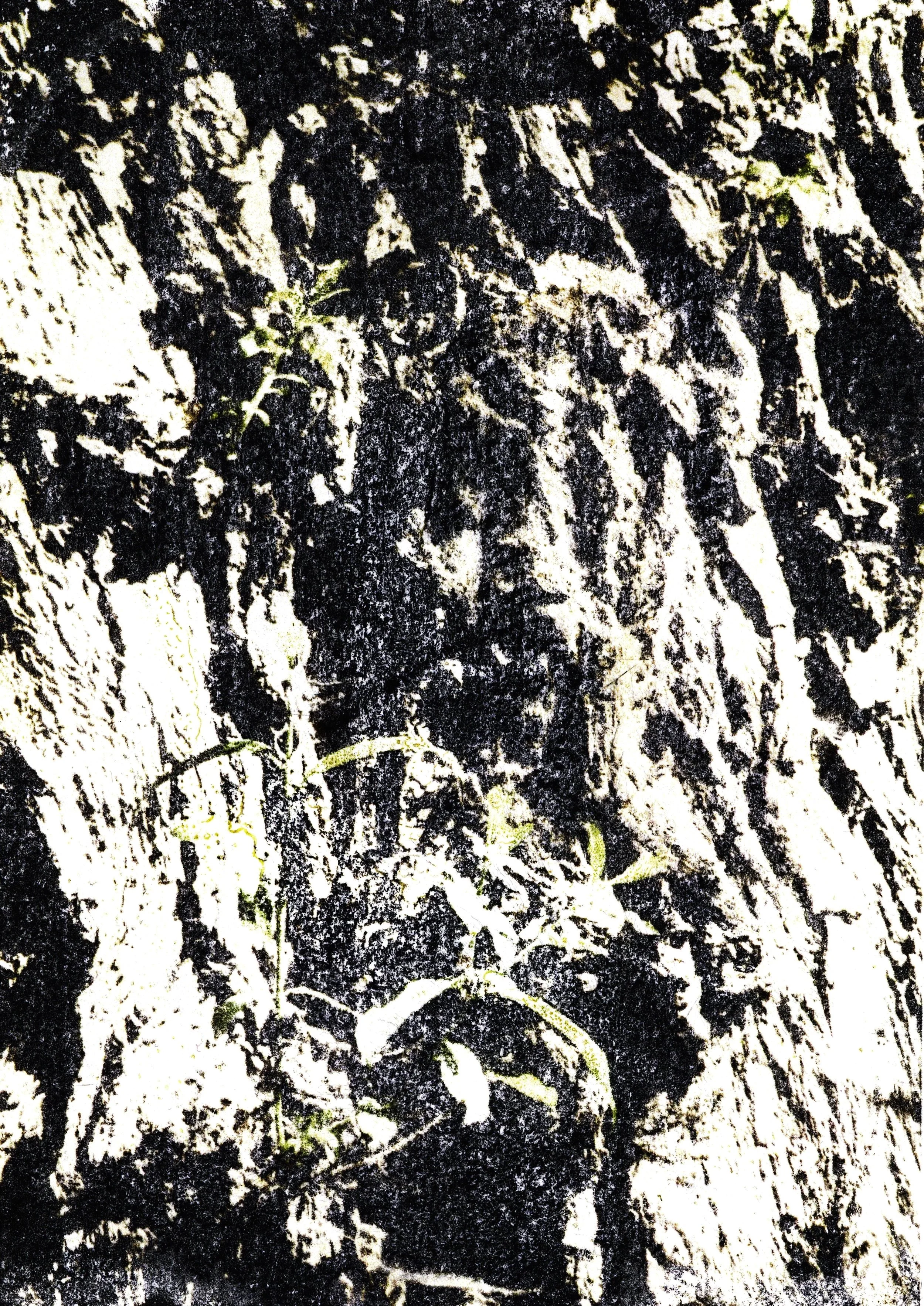 Aceton experiments, 2025