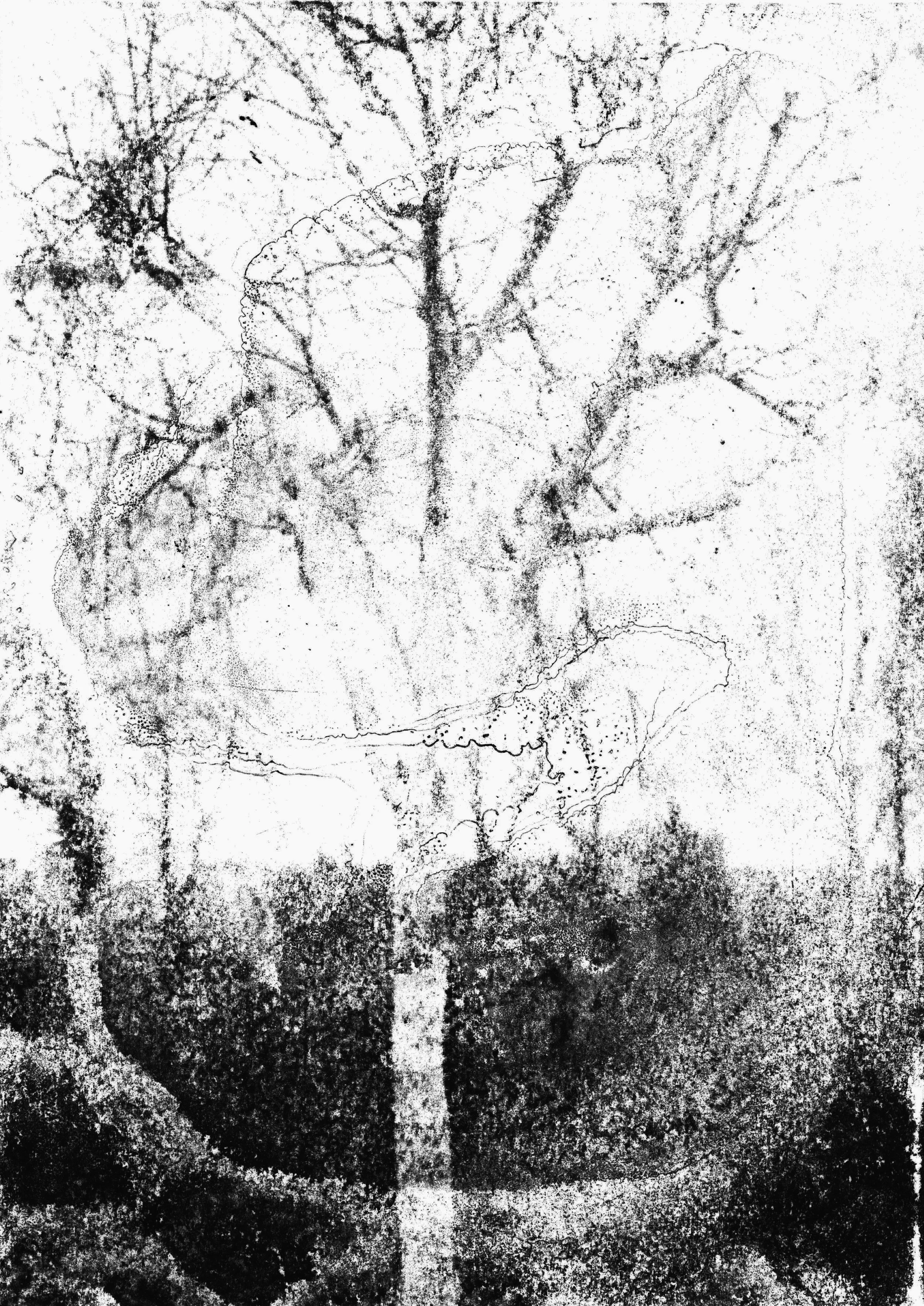 Aceton experiments, 2025