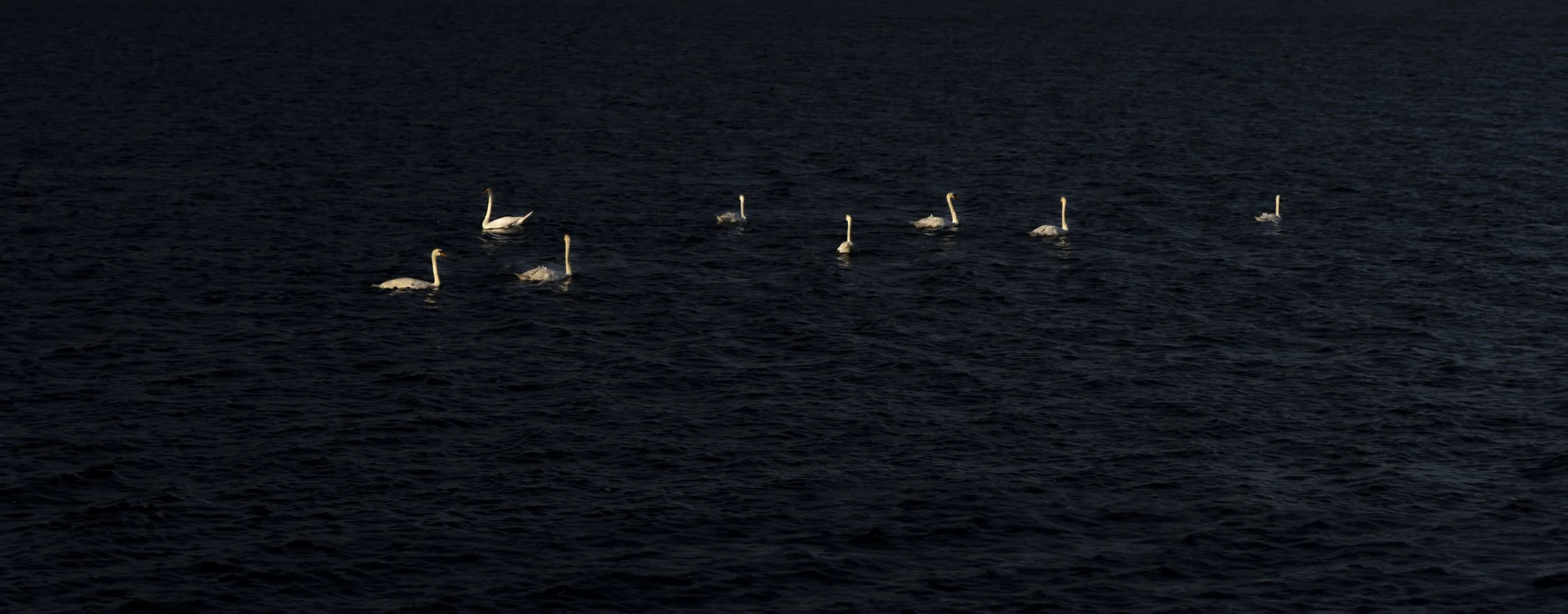 When the water stops flowing, 2025