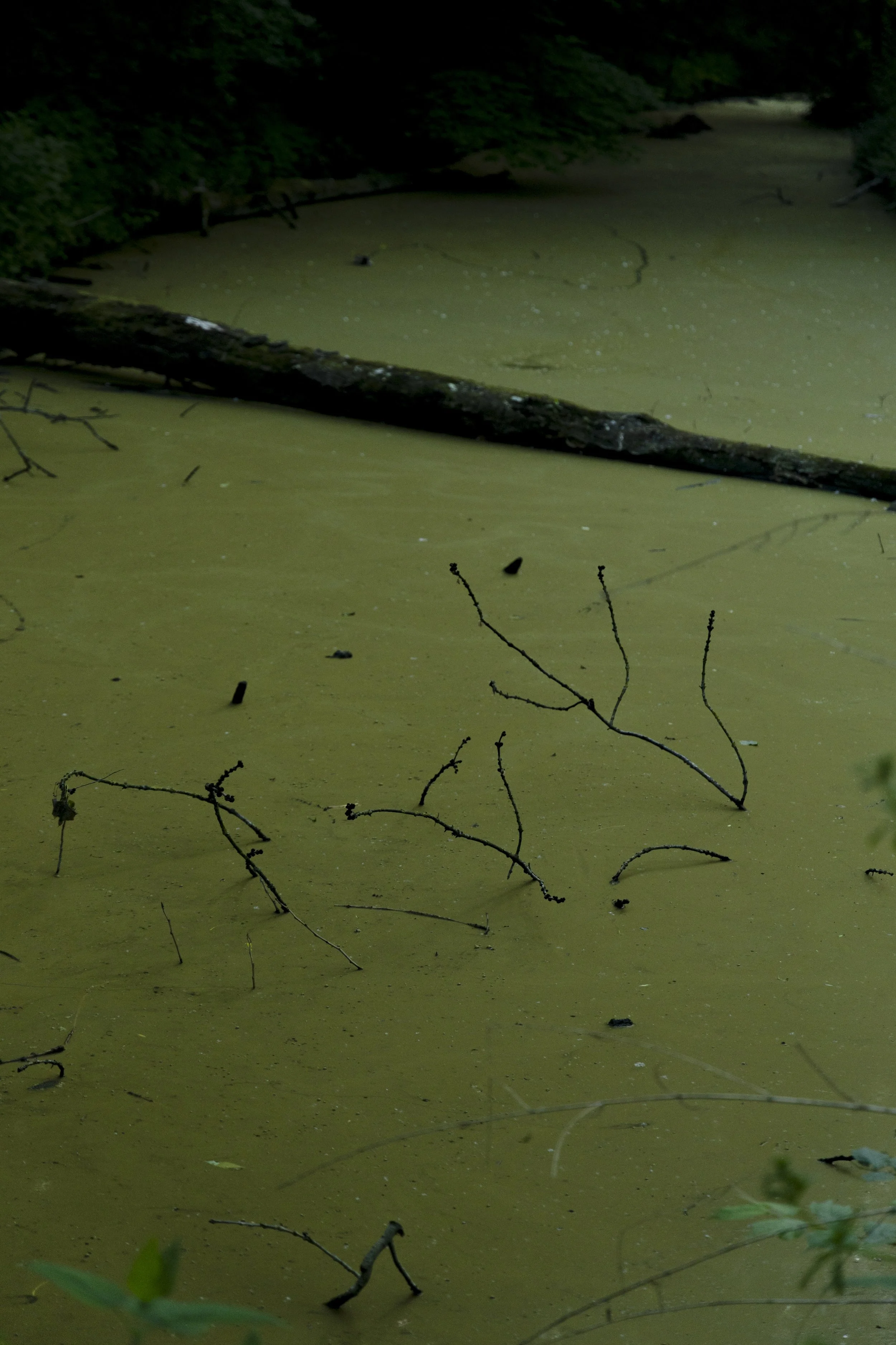 When the water stops flowing, 2024