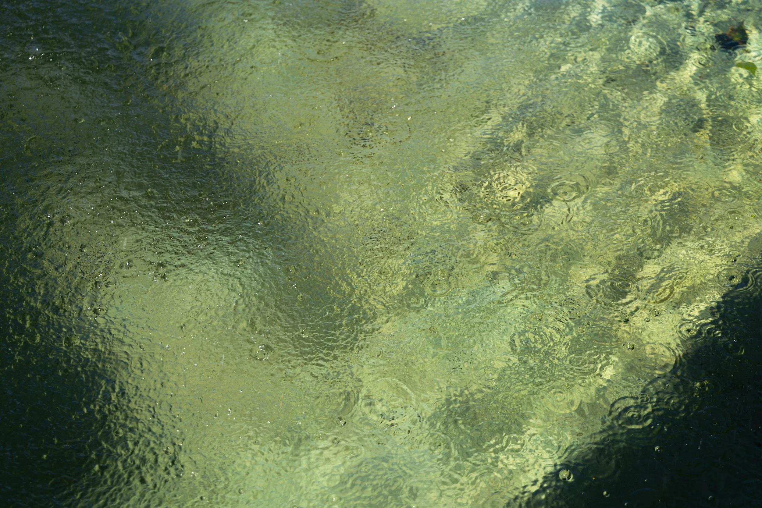 When the water stops flowing, 2025