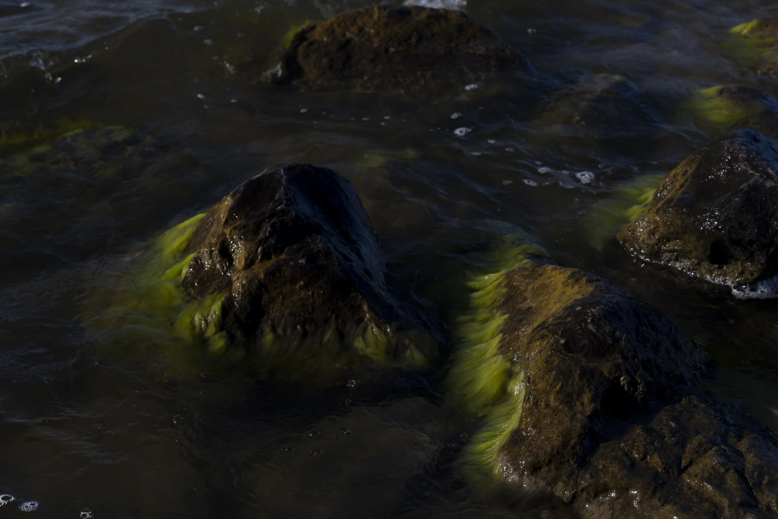 When the water stops flowing, 2025