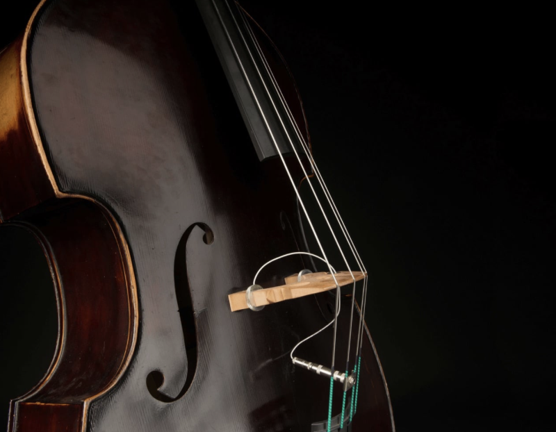 Close-up of a wooden violin with strings and a bow rest against a dark background.
