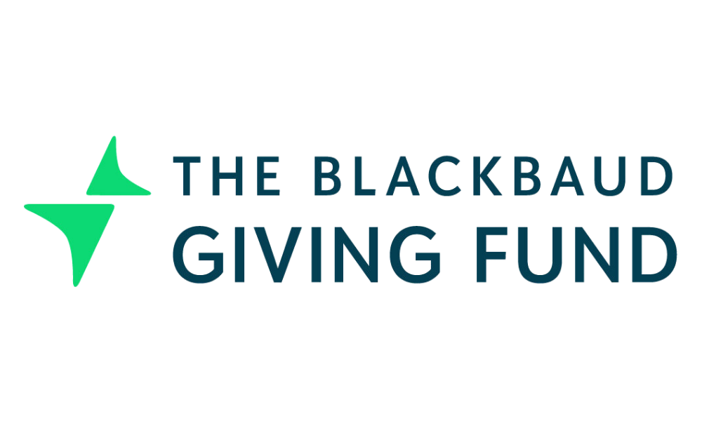 Logo of The Blackbaud Giving Fund with a green abstract star shape and dark blue text.