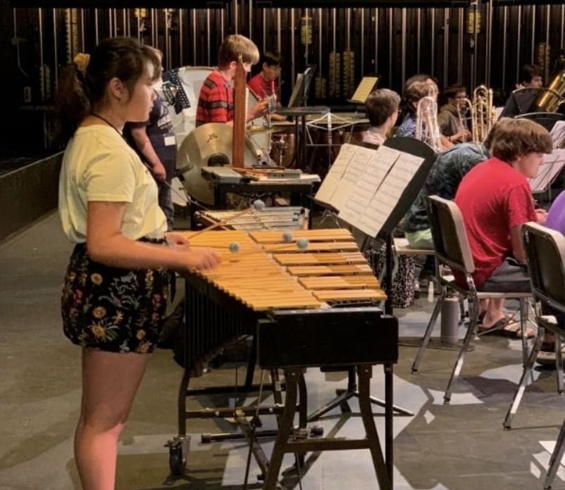 A young girl playing a xylophone on stage during an orchestra rehearsal, surrounded by other musicians and music stands.