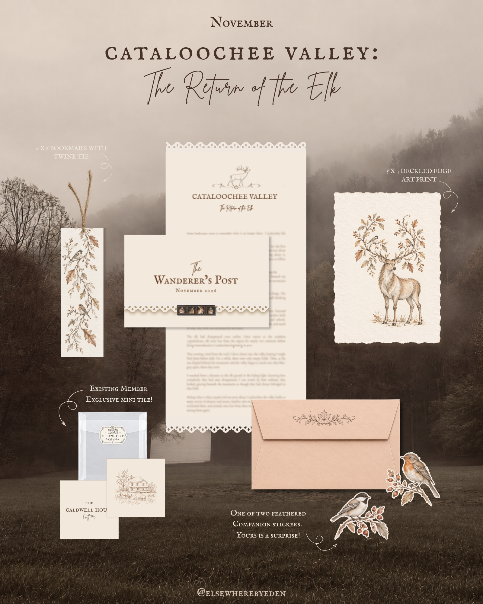 nov shop listing 10-12.png