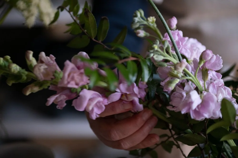 Close-up of a hand holding a bouquet of pink and white flowers with green leaves.