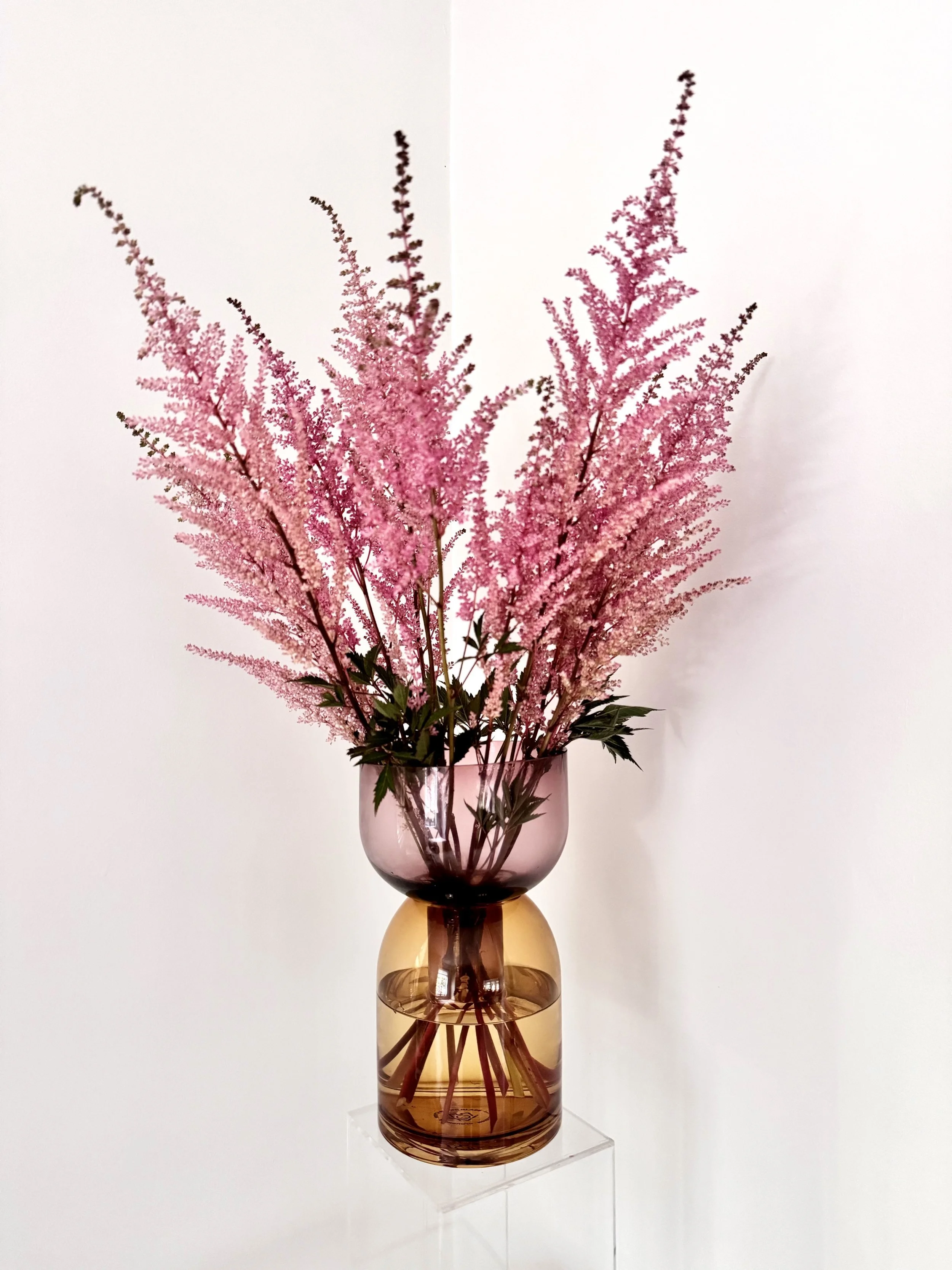 Fliop+Vase+Blush+Amber+with+Astilbe.jpg