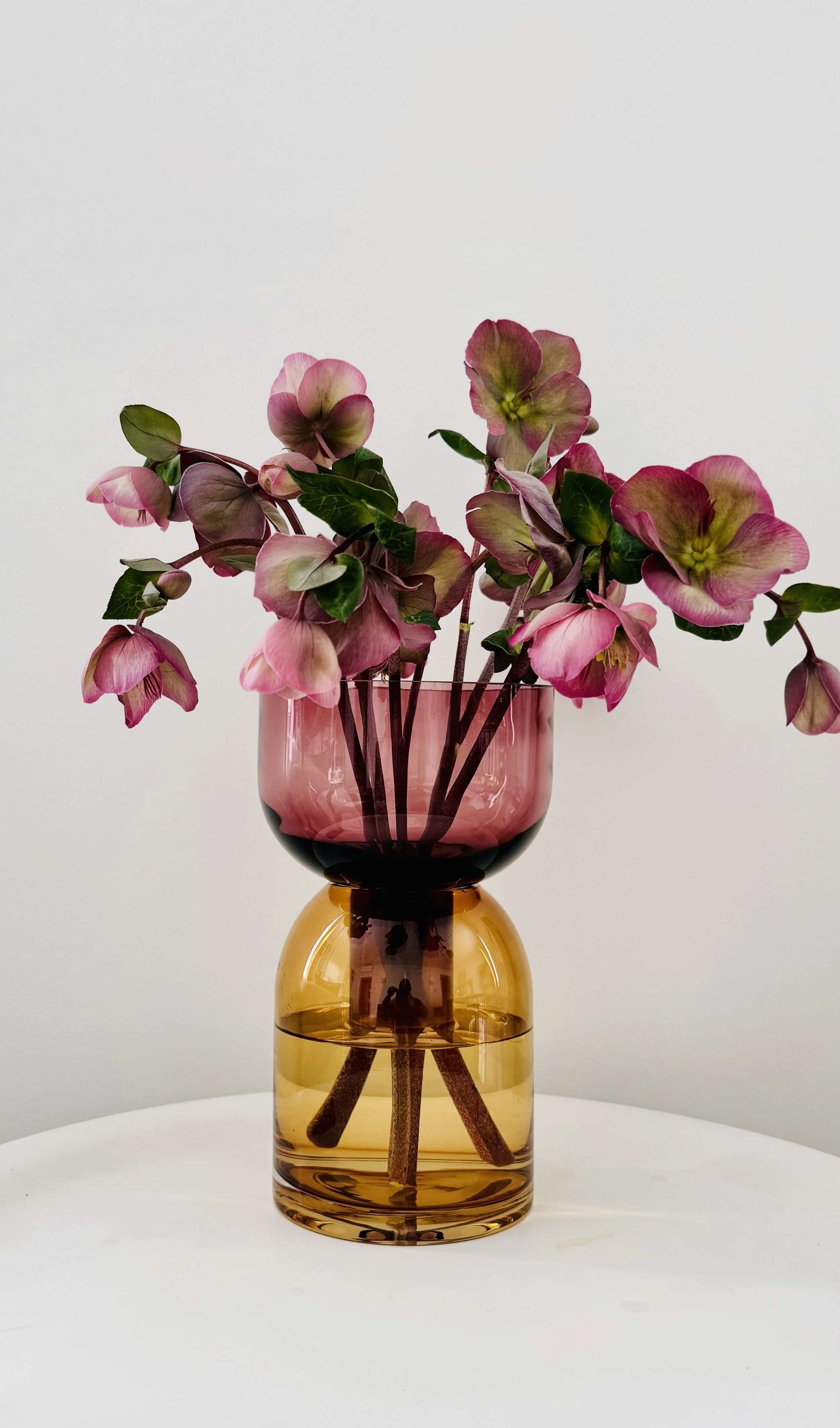 Flip+Vase+amber+and+pink+hellebores+.jpg