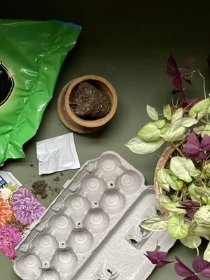 Lifestyle+Shot+from+above (1).jpg