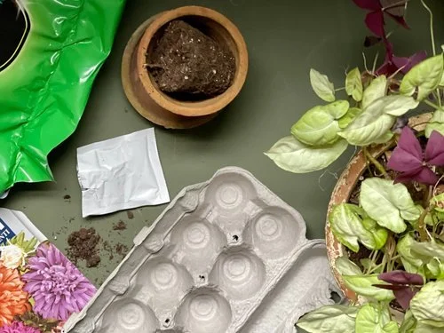 Don’t throw away those cardboard egg cartons!