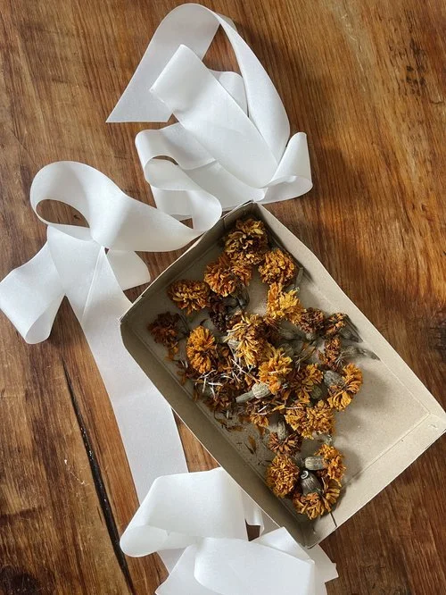 Fabric Dyeing with Natural Dyes and Flowers