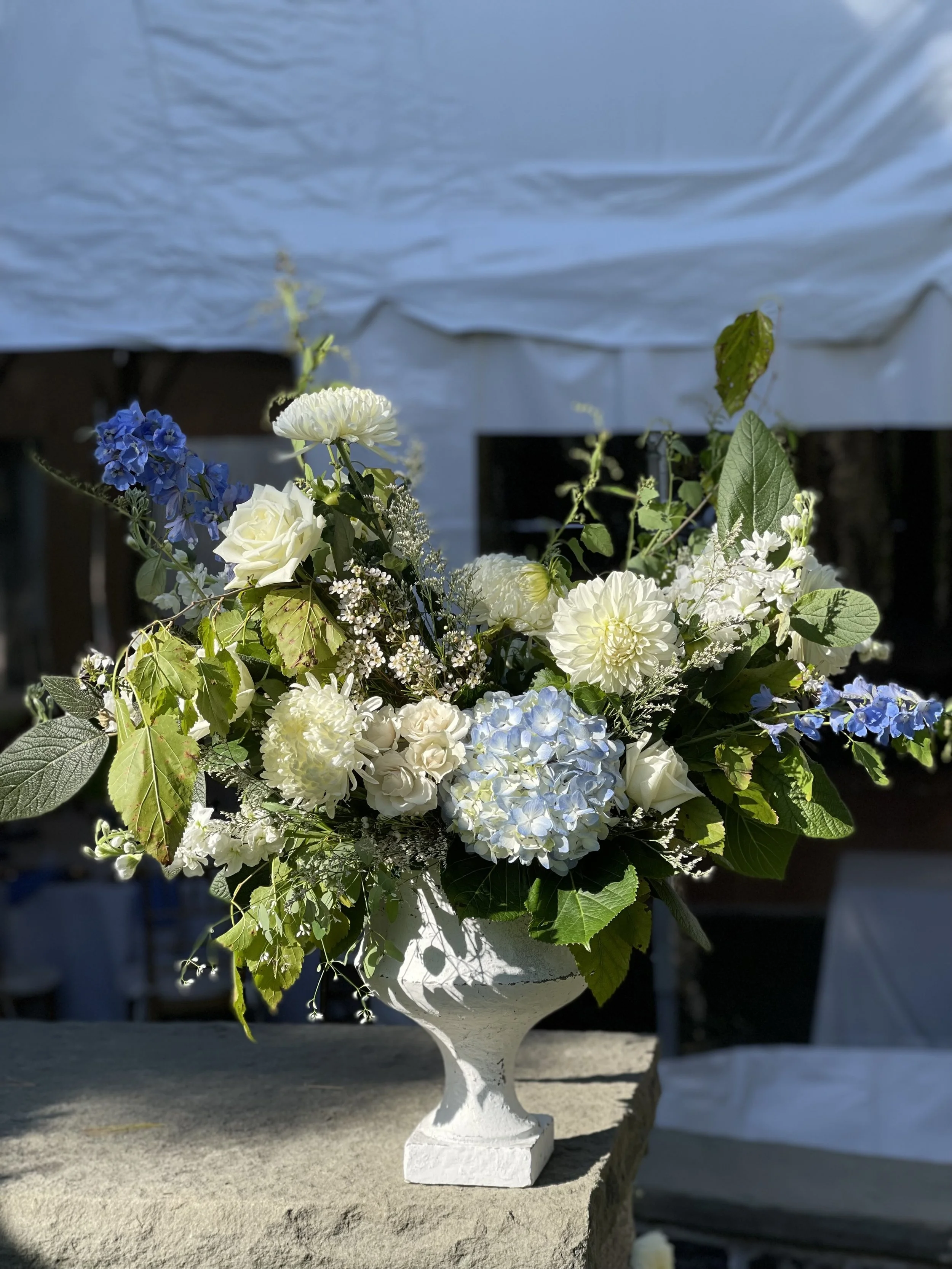 White, blue, and cream floral arrangement in a decorative white vase on a stone surface outdoors, with sunlight and a blurred background.